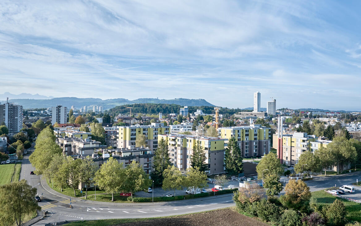 Foto Auswahl